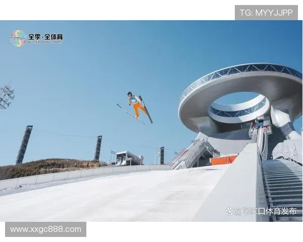 巴斯托尼表现似冬奥空技冠军级